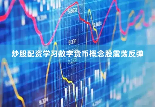 炒股配资学习数字货币概念股震荡反弹