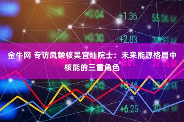 金牛网 专访凤麟核吴宜灿院士：未来能源格局中核能的三重角色