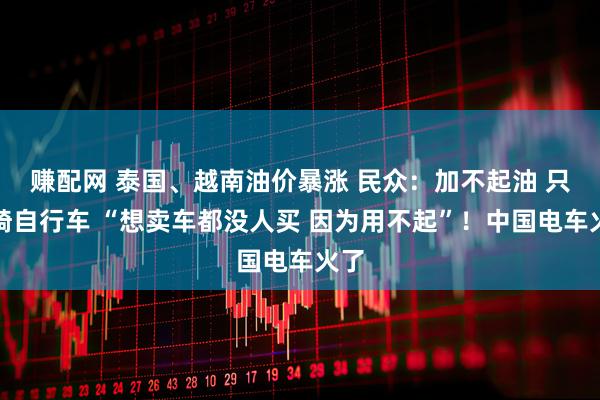 赚配网 泰国、越南油价暴涨 民众：加不起油 只能骑自行车 “想卖车都没人买 因为用不起”！中国电车火了